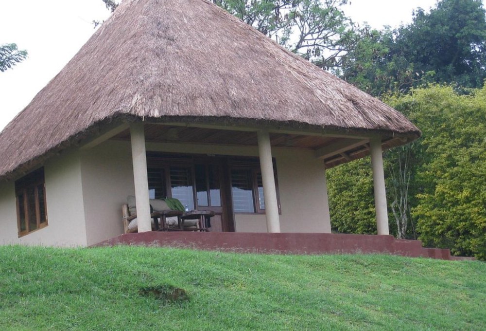 Chimpanzee Forest Lodge